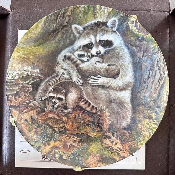 "Protective Embrace" 1982 By Wildlife Yin-Rei Hicks Racoon Collectible Plate - Picture 2 of 4